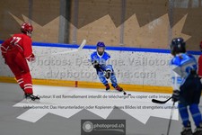 ref. photo 3540008
