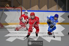 ref. photo 3540011