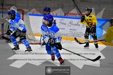ref. photo 3540015