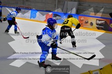 ref. photo 3540016