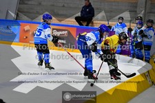 ref. photo 3540017