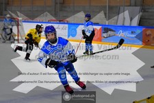 ref. photo 3540019