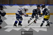 ref. photo 3540041