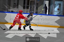 ref. photo 3540048