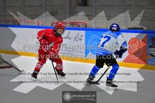 ref. photo 3540056