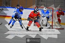 ref. photo 3540061