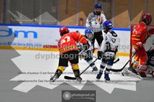 ref. photo 3540085