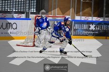 ref. photo 3540111