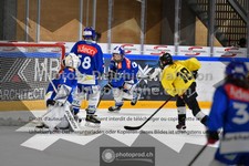 ref. photo 3540113