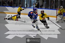 ref. photo 3540119