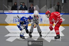 ref. photo 3540121