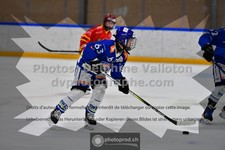 ref. photo 3540130