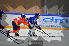 ref. photo 3540136