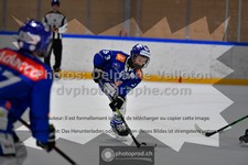 ref. photo 3540141