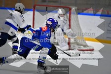 ref. photo 3540142