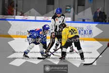 ref. photo 3540147