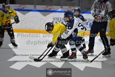 ref. photo 3540182
