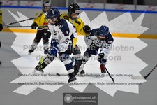 ref. photo 3540183