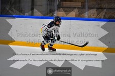 ref. photo 3540190