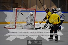 ref. photo 3540213