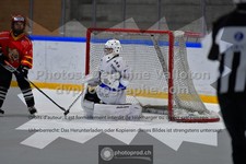 ref. photo 3540223