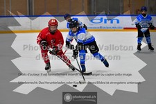 ref. photo 3540224