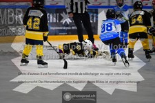 ref. photo 3540235