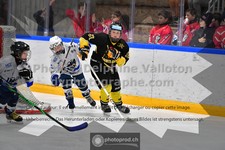ref. photo 3540246