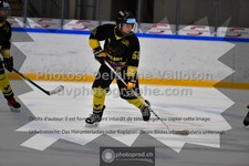 ref. photo 3540252
