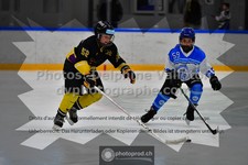 ref. photo 3540261