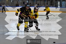 ref. photo 3540271