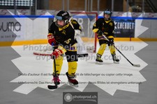 ref. photo 3540296