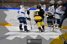 ref. photo 3540300