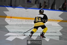 ref. photo 3540303