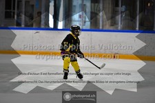 ref. photo 3540309