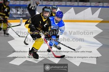 ref. photo 3540316