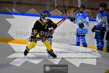 ref. photo 3540319