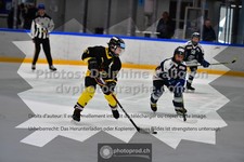 ref. photo 3540335