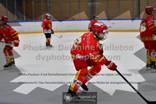 ref. photo 3540338