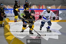 ref. photo 3540344