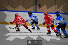 ref. photo 3540386