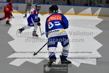 ref. photo 3540409