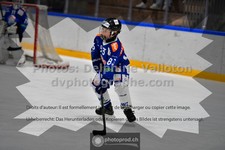 ref. photo 3540414