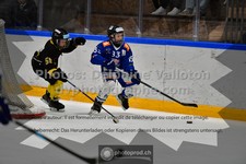 ref. photo 3540418
