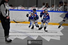 ref. photo 3540432