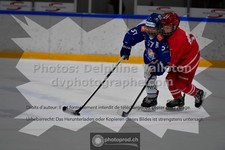 ref. photo 3540446