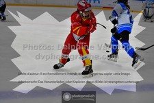 ref. photo 3540474