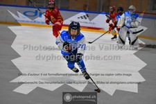 ref. photo 3540480