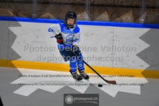 ref. photo 3540491