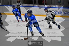 ref. photo 3540495